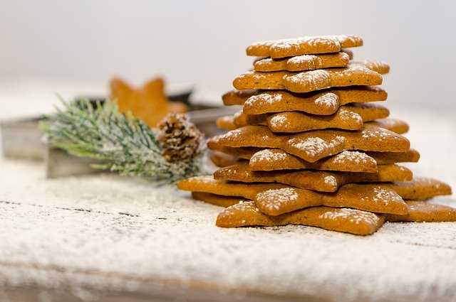 Can Dogs Eat Gingerbread Cookies Can Dogs Eat Gingerbread Cookies