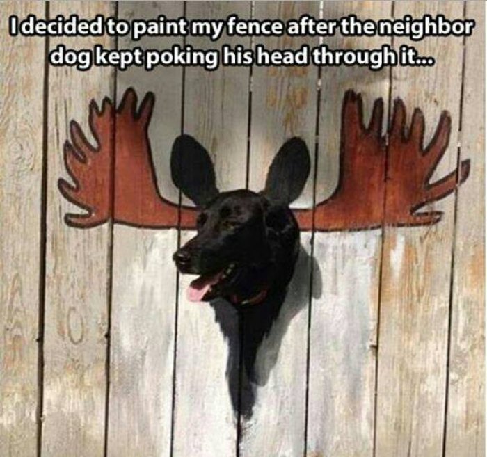 creative fence painting dog window