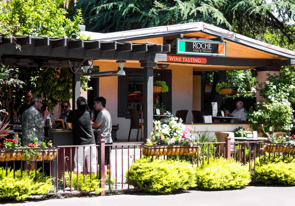 friendly wineries the 8 best friendly wineries near san francisco rover friendly wineries the 8 best friendly wineries near san francisco rover