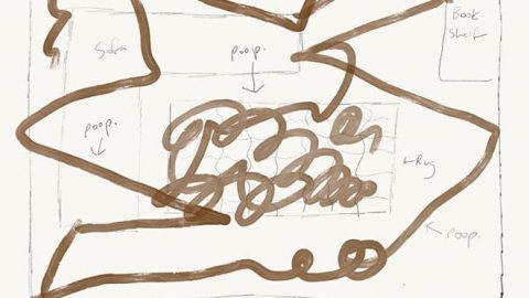roomba poop debacle