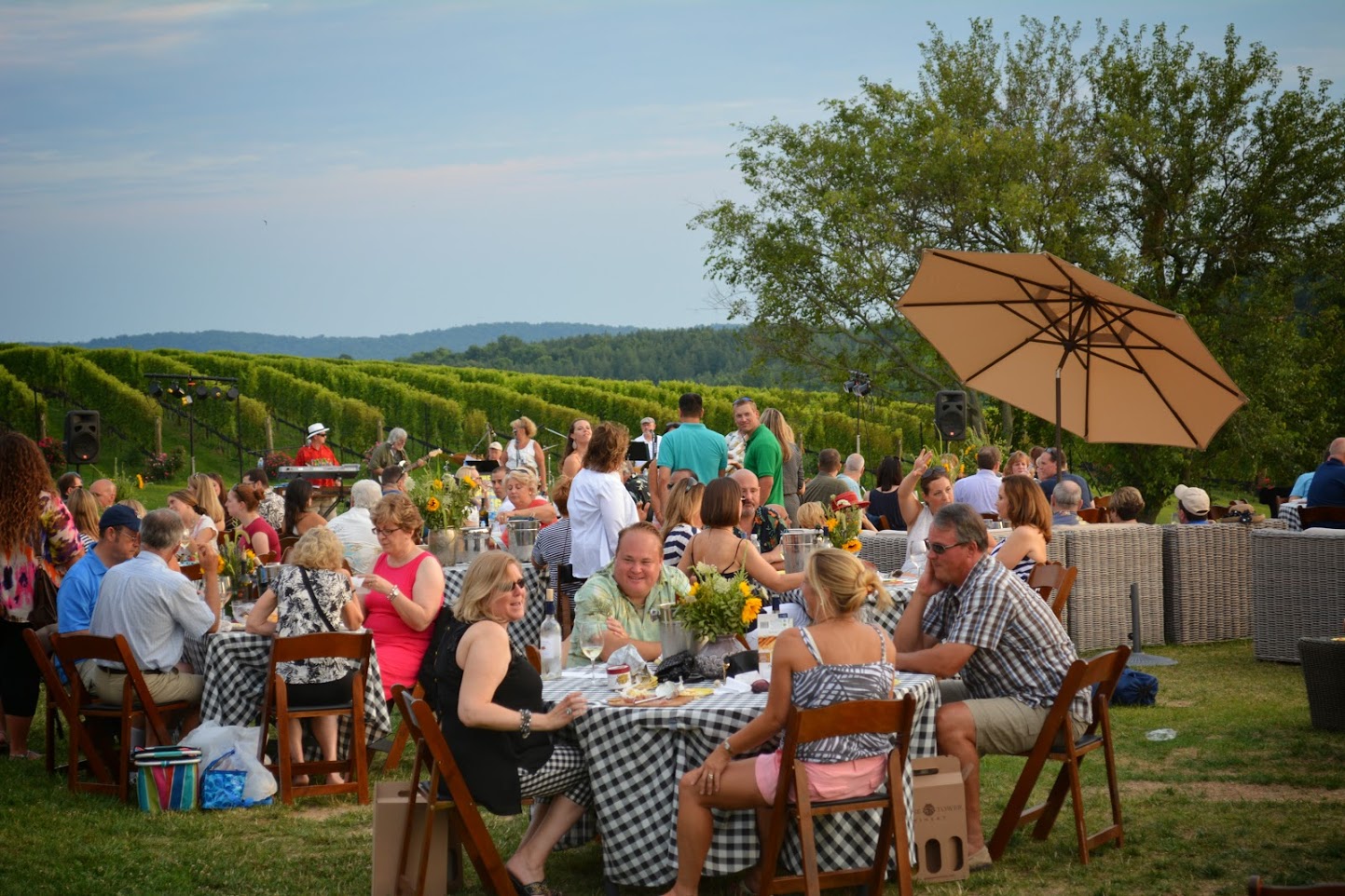 The 7 Best DogFriendly Wineries Near Washington D.C. The Dog People