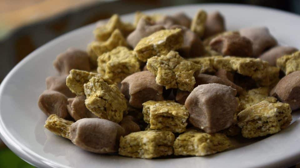 Two ingredient dog treats, shown here, are an easy way to feed a dog baby food