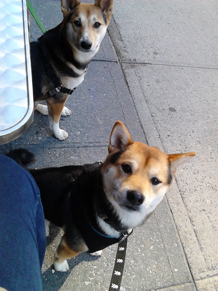 Photo via Kerri on Yelp.