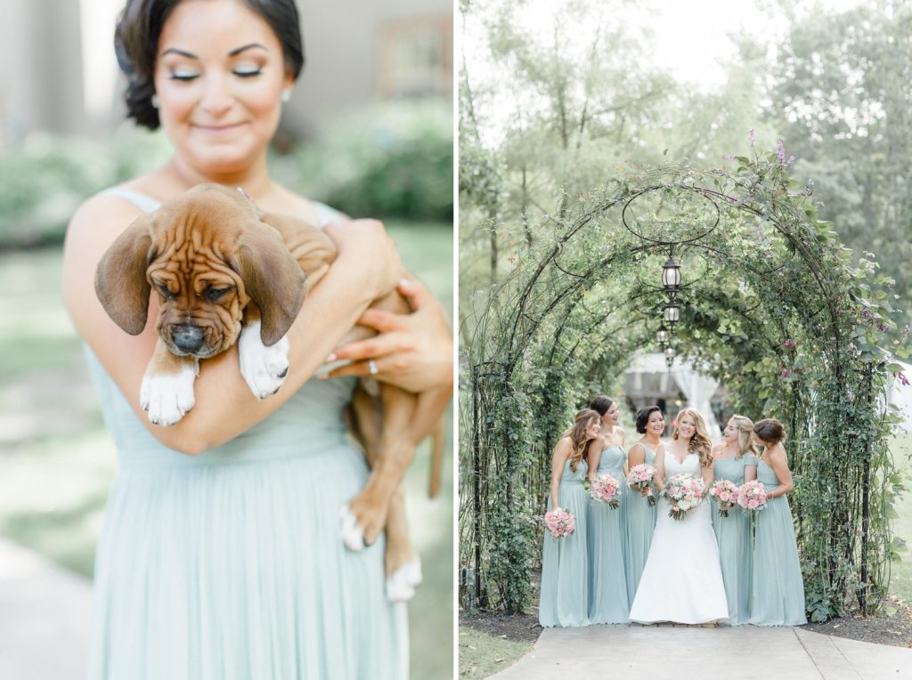 bride rescue puppies wedding photos