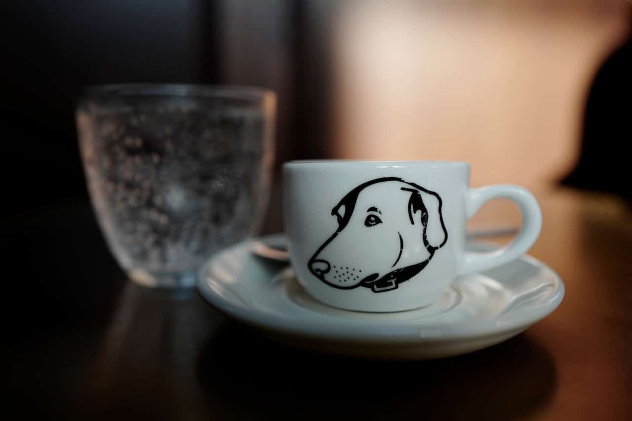 8 DogFriendly Coffee Shops in San Francisco The Dog People by