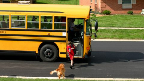 dogs excited to meet their kids at the school bus