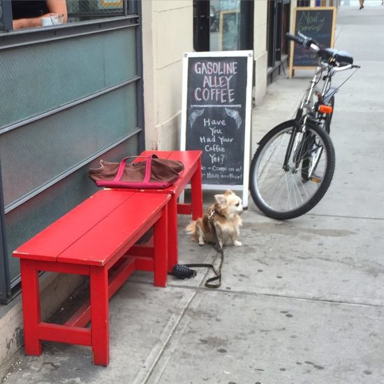7 DogFriendly Coffee Shops in NYC The Dog People by