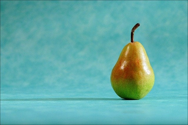 Can dogs eat pears like this one?