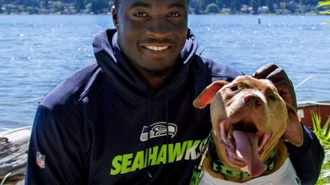 seahawk linebacker kevin pierre louis and leroy