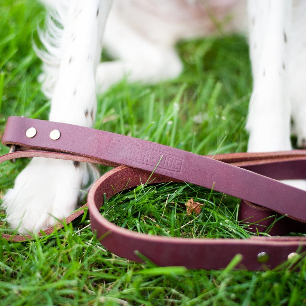 Timber and Tide training leash