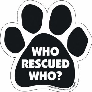 How To Train A Service Dog For Depression How To Train A Service Dog For Depression