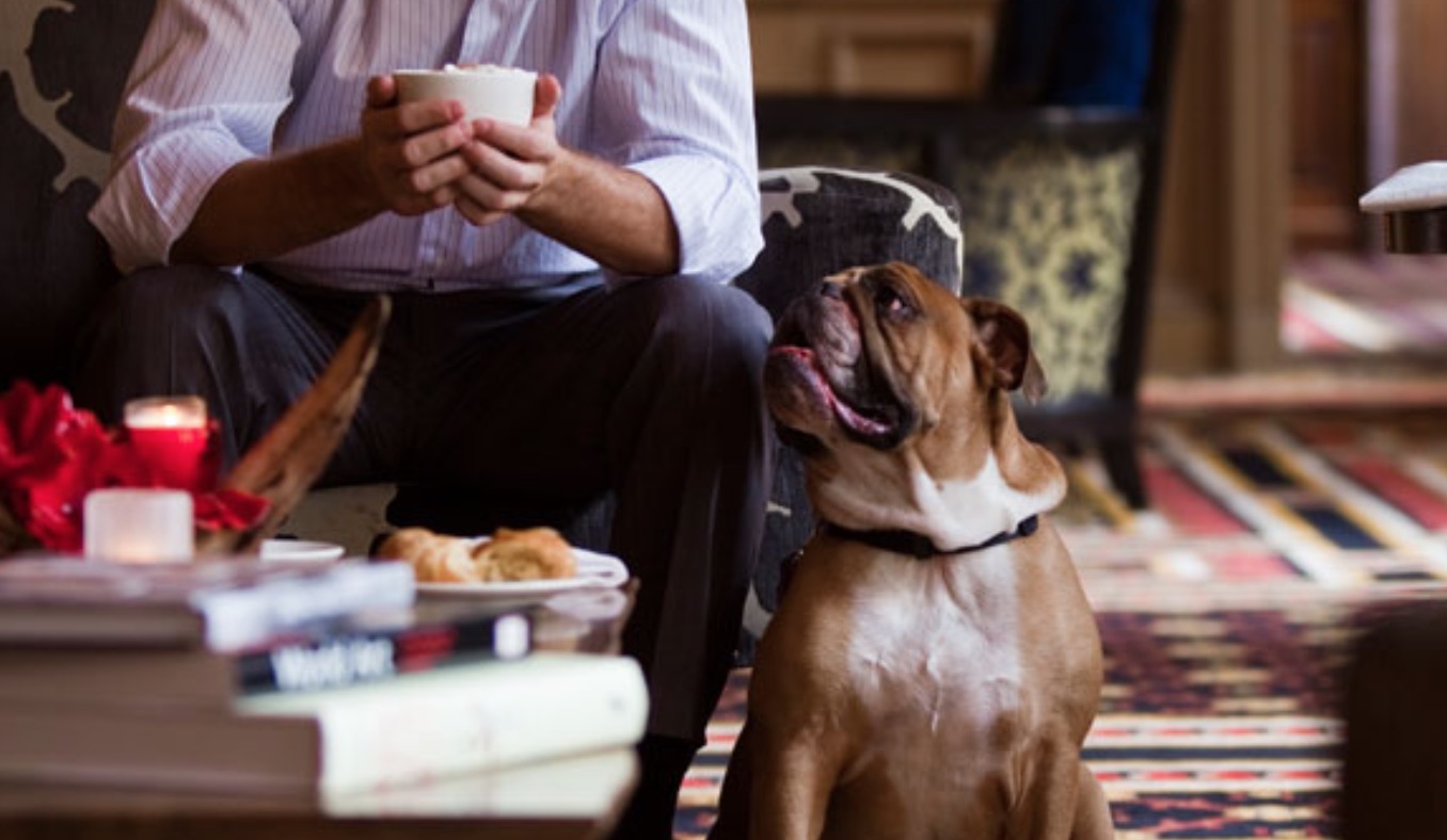 Dog Friendly Hotels Pittsburgh Pa Dog Friendly Hotels Pittsburgh Pa