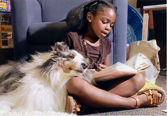 The 10 Best Dog Breeds For Book Lovers Rover.com - 547x381 - jpeg Dog And Girl Reading A Book