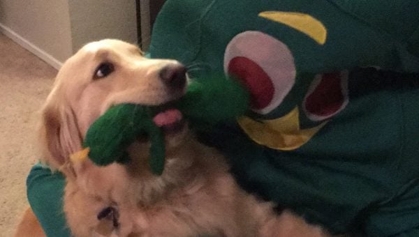 Owner Dresses Up As Dog S Favorite Toy Owner Dresses Up As Dog S Favorite Toy
