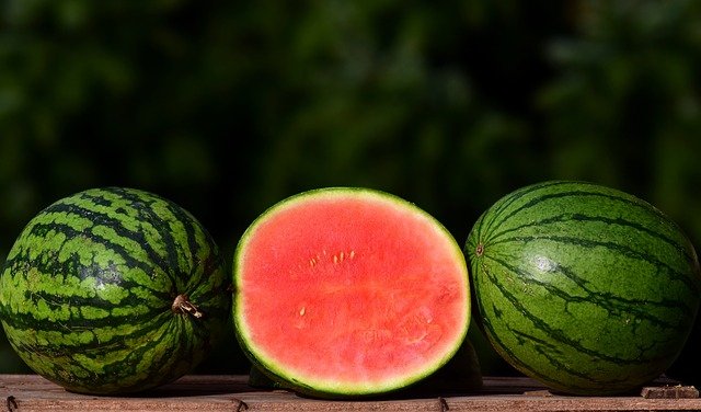 melon