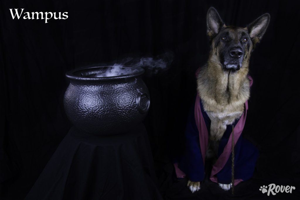apollo_final