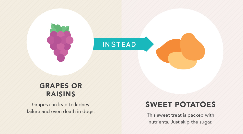 can dogs eat grapes? no, try sweet potatoes instead. illustration.