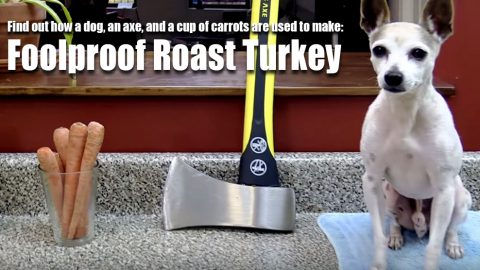 fool-proof-roast-turkey-dog-rube-goldberg-machine