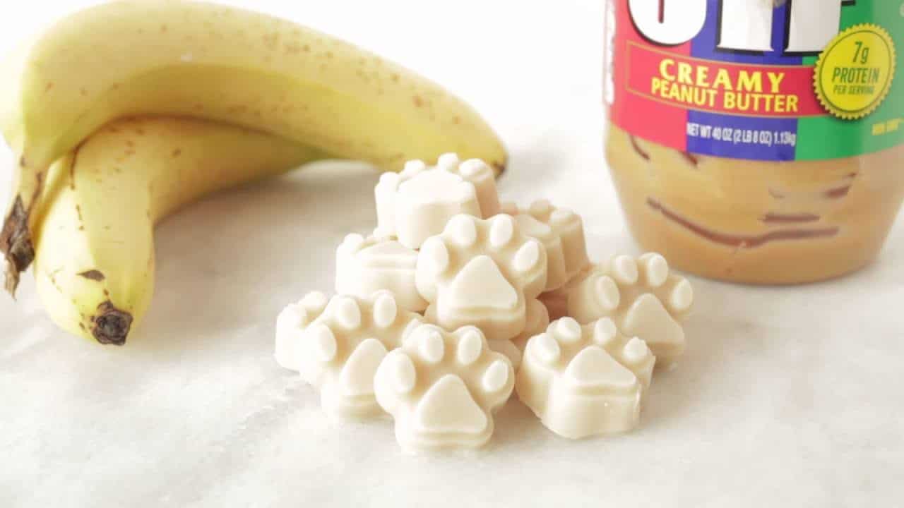 4 Yogurt Dog Treat Recipes To Spoil Your Pet Healthy The Dog People