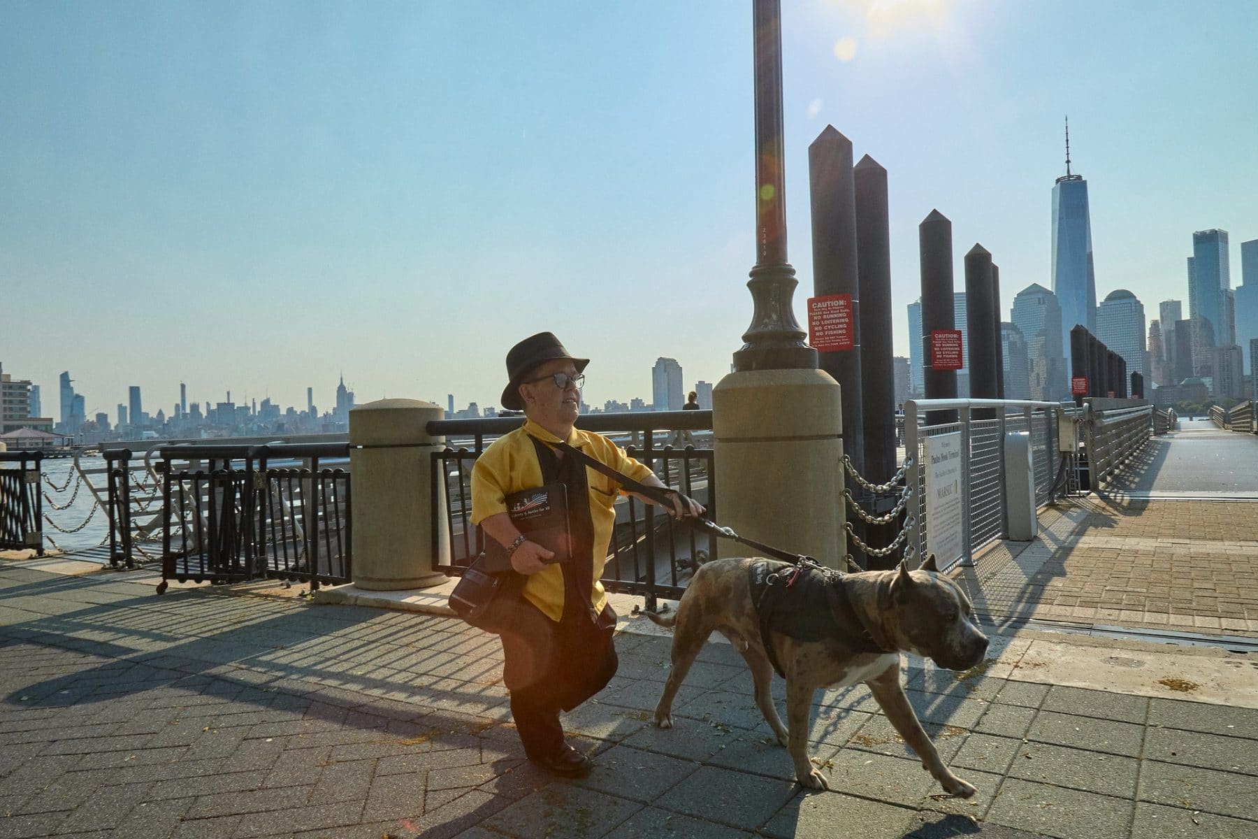 New York City's Top Pet Names of 2019 | The Dog People by Rover.com