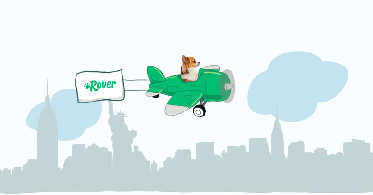 Most Popular Dog & Cat Names in New York City