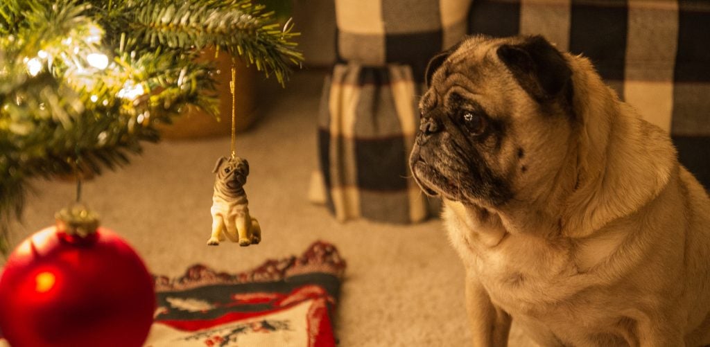 gift ideas for pug lovers