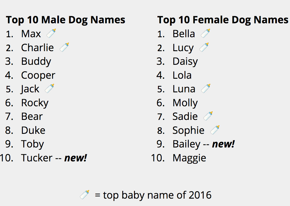 Rover.com Reveals the Most Popular Dog Names of 2016 | The ...