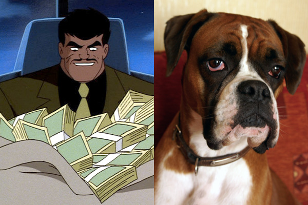 bruno-mannheim-boxer-batman-dog-names