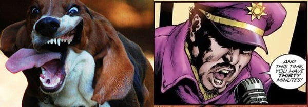 colonel-blimp-basset-hound-batman-dog-names