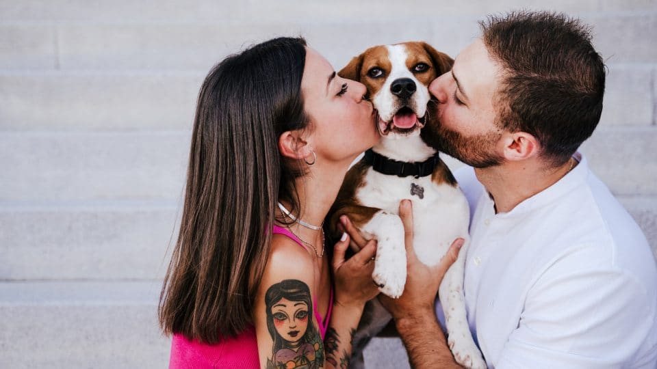 young couple kissing their beagle
