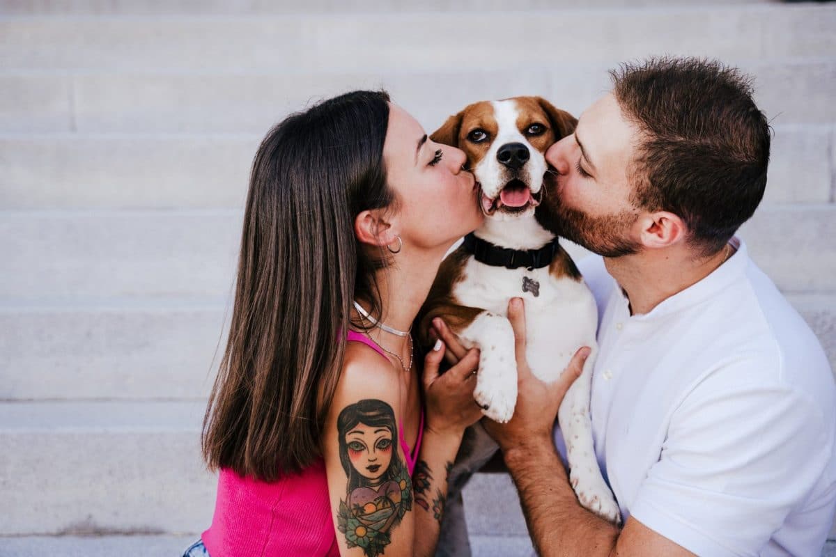 How To Tell Your Dog You Love Them So They Really Understand