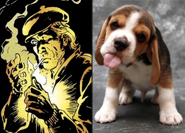 joe-chill-beagle-batman-dog-names