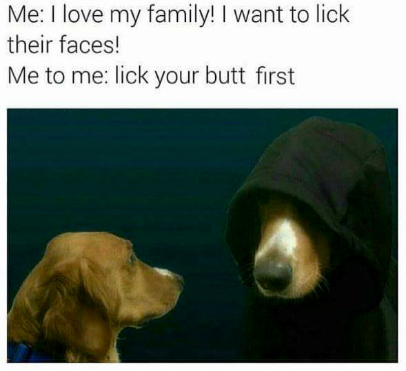 me-to-me-meme-lick-your-butt