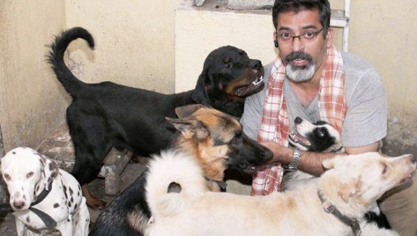 Adopting Stray Dogs In India Adopting Stray Dogs In India