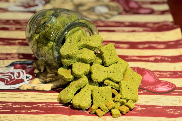 spinach-and-ricotta-cookie-dog-treat-biscuit