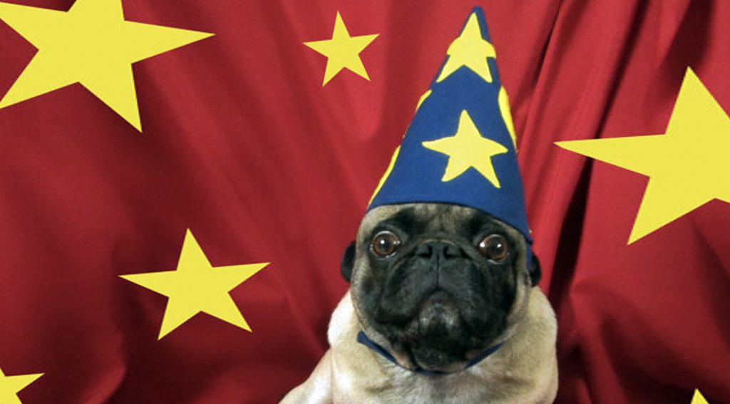 We Can't Get Enough of These 7 Dogs Confused by Magic