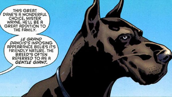 PAW Patrol Dog Names: All the Character Names Plus ...