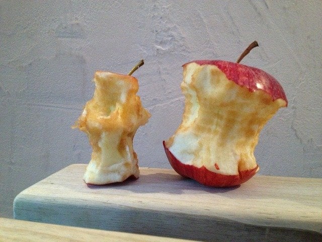 apple cores