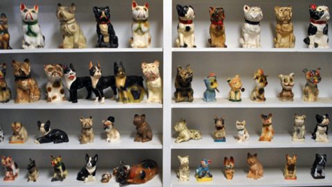 boston-terrier-museum-floydada-texas
