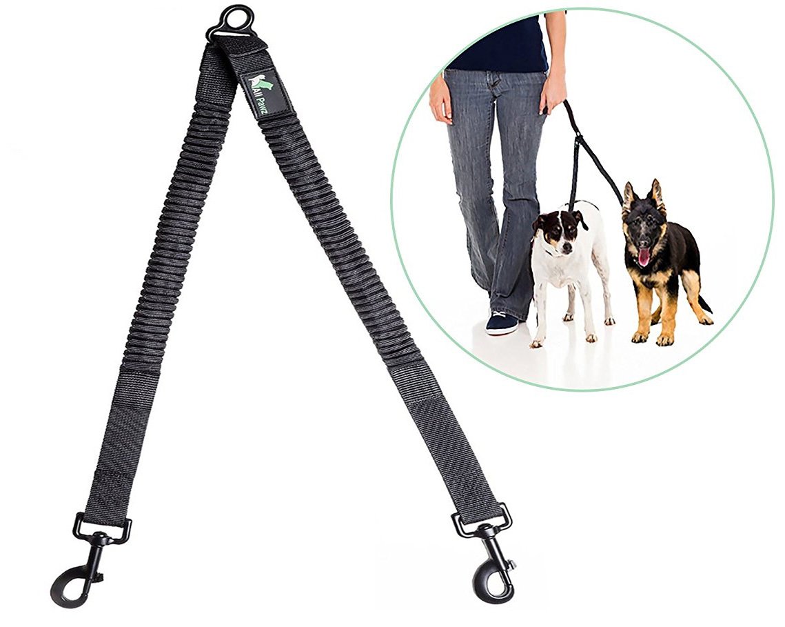 A Guide to Buying the Best Dog Leash UPDATED for 2019