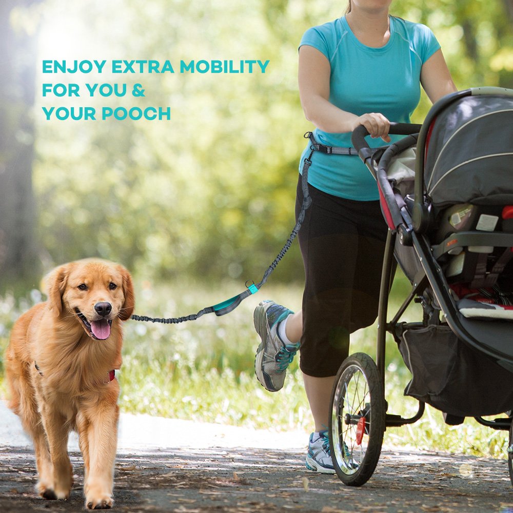 hands free running leash