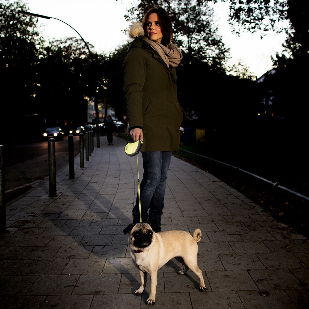 retractable 16 foot dog leash
