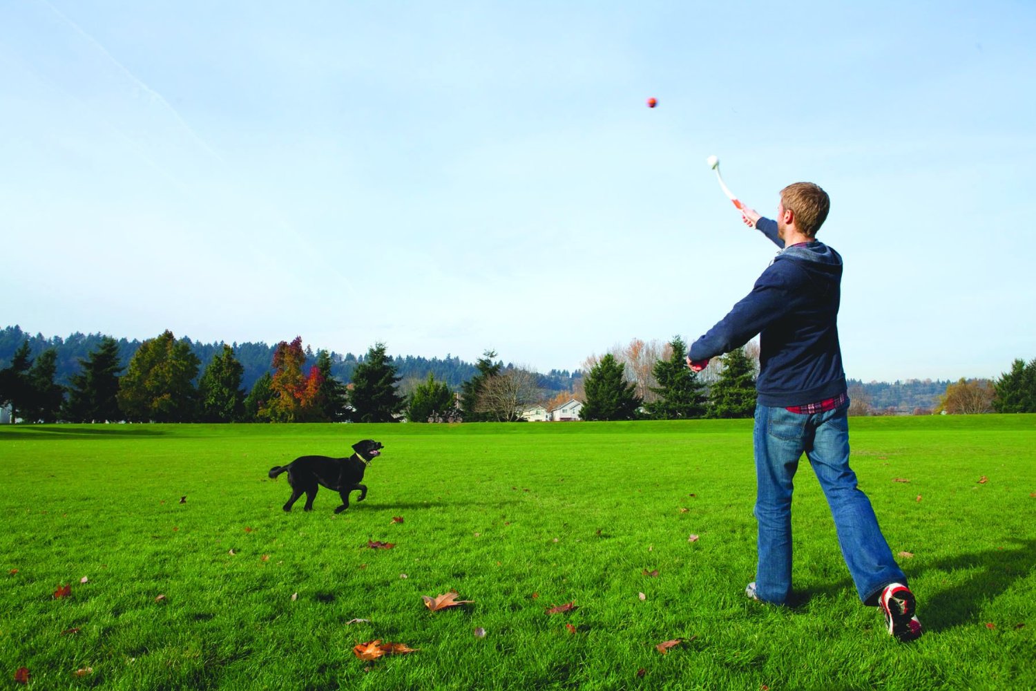 10 Awesome Dog Toys for Chasing and Fetching Go Beyond the Tennis Ball
