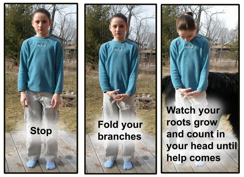 Mein Hund hat mich gebissen Was mache ich jetzt?