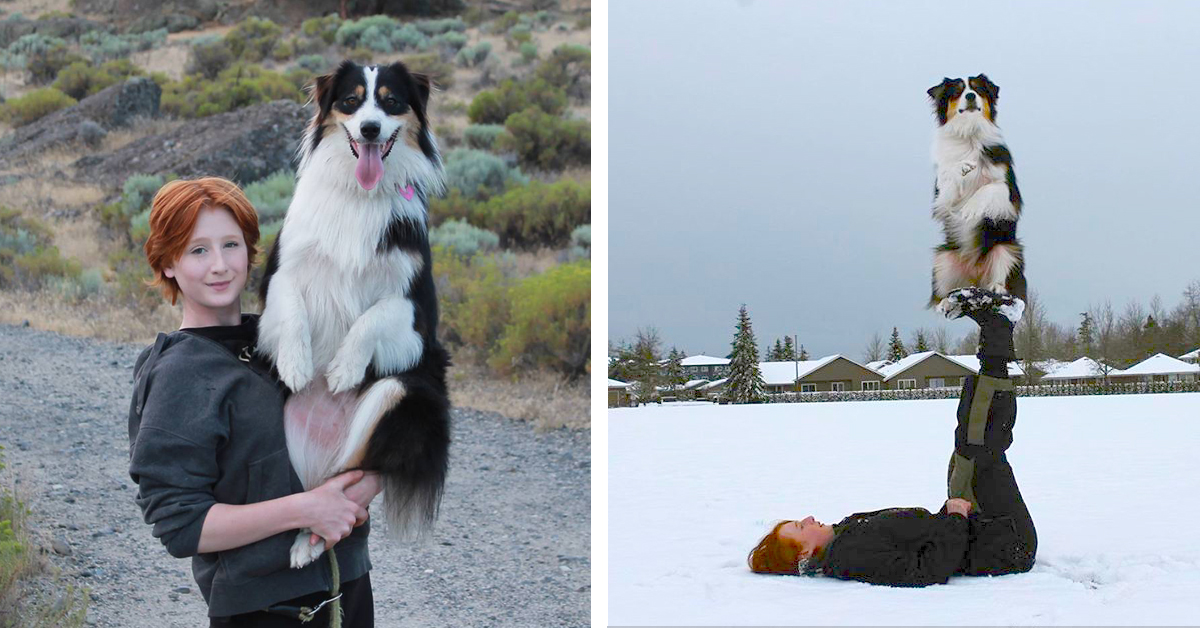 Astonishing Dog Can Do Everything from Yoga to Irish Dance with Beloved
