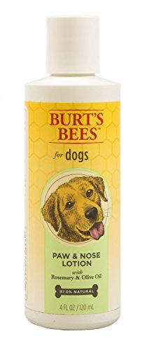 Dry Dog Skin Treatments: Butters 