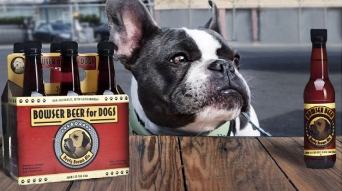The Top 10 BeerThemed Gifts for BeerLoving Dog Moms and Dads The