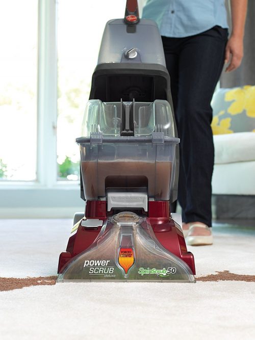 Our 17 AllTime Favorite Cleaning Tools for Dog Owners The Dog People