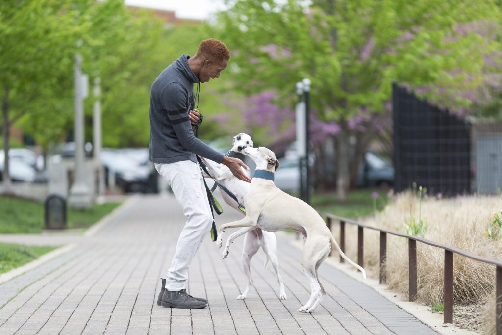 Meet the Dog People Bradley C. in Chicago The Dog People by