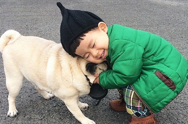 small dogs good with babies